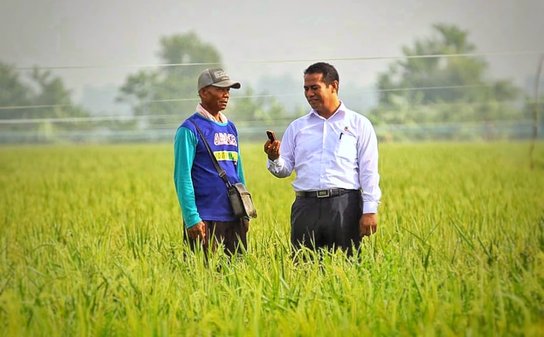 Produksi Pangan Lampaui 90% Kebutuhan Domestik